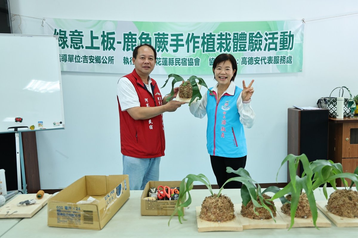 花蓮吉安推動鹿角蕨植栽體驗 創造綠色觀光新魅力